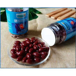 daynee-d16-articular-capsule